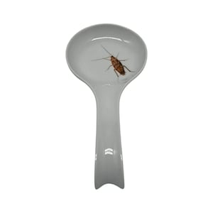 May include: A white ceramic spoon rest featuring a realistic brown cockroach graphic centered in the bowl. The spoon rest has a smooth, glossy finish with a wide, rounded head and a curved handle that tapers toward the bottom edge.