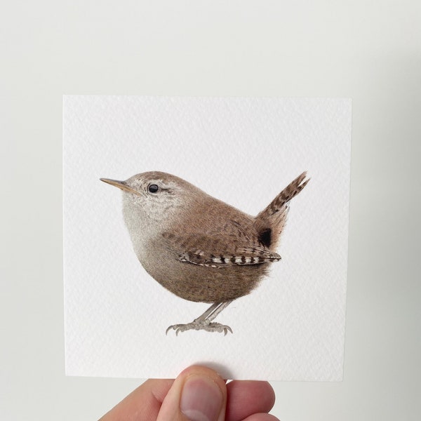 Wren Illustration Print | Wren | Wren Gift | Wildlife Illustration | Wren Illustration | Wildlife Print | Nature Illustration | Bird