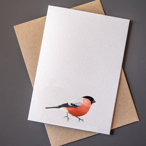 A6 Illustration Gimpel Grußkarte | illustriert Grußkarte | Dompfaff Karte | Illustration Dompfaff Karte | Illustrierter Gimpel