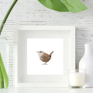 Wren Illustration Print | Wildlife Print |  Wren Illustration | Wren | Wren Print| Nature Illustration| Print |