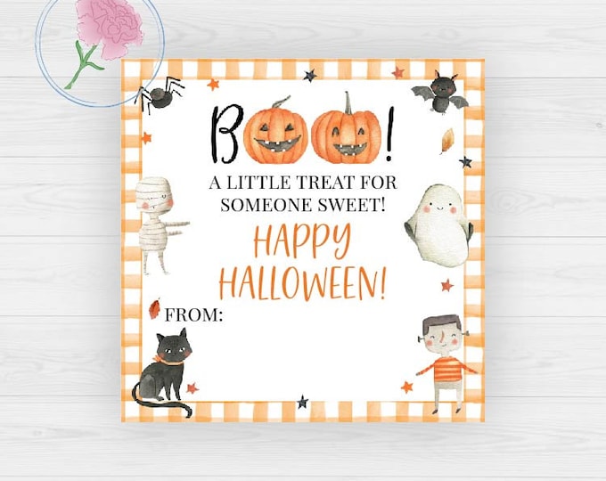 FALL/PUMPKINS/HALLOWEEN