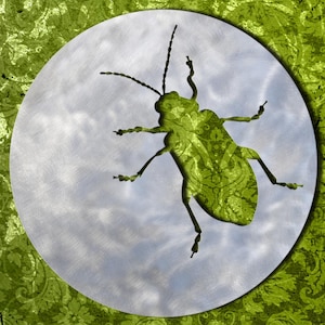 Może przedstawiać: Srebrny metalowy okrąg z wycięciem w kształcie sylwetki zielonego chrząszcza na zielonym kwiatowym tle.