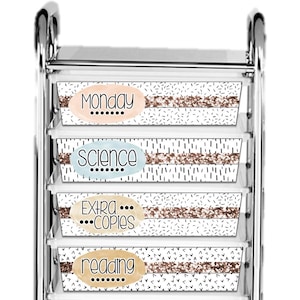 May include: A four-tiered rolling cart with white bins featuring labels for "Monday", "Science", "Extra Copies", and "Reading". Each label is a different color and has a decorative glitter stripe. The bins have a black and white speckled pattern.