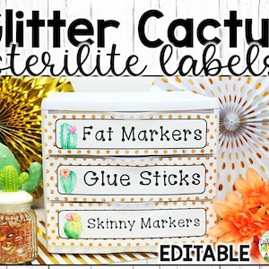 Editable Cactus Classroom Labels Cactus Classroom Decor Succulent Cactus Classroom Supply Labels