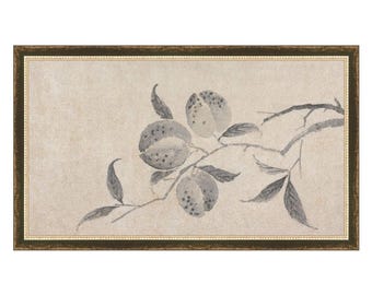 Shadowed Blooms 8 - Giclée Prints - Botanical Cream and Gray - Tonal Botanical Print - Handcrafted Framing Options - Vintage Art Print