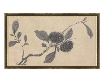Shadowed Blooms 3 - Branches Drawing - Cream and Black Ink Drawing - Muted Wall Art - Handcrafted Framing Options - Calm Reflection