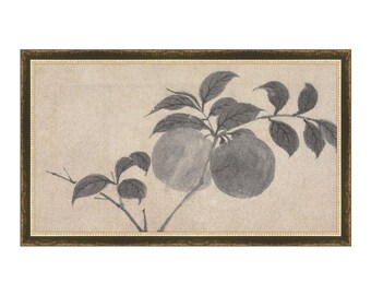 Shadowed Blooms 1 - Giclée Prints - Black and cream Branches - Minimalist Ink Drawing - Handcrafted Framing Options East Asian Botanical