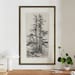 FRAMED. Antique Trees Drawing. Ink Trees Drawing. Mountain - Etsy
