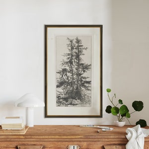 Trees Etching 3 | Printed and Shipped Art | Vintage Tree Print | Vintage Tree Print | Vintage Etching Print | Trees Print | Trees Art Print