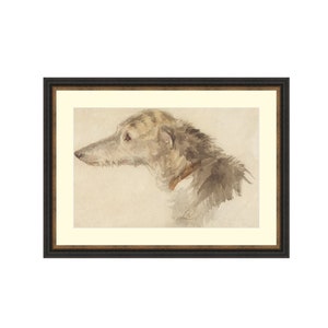 May include: A watercolour painting of a greyhound dog's head in profile. The dog is wearing a brown leather collar. The painting is framed in a black frame with a gold mount.