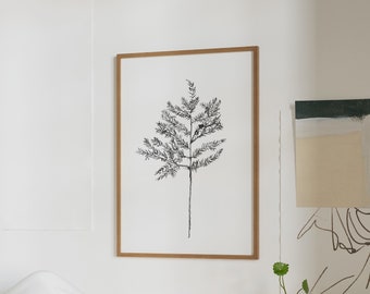 PRINT Hemlock Stem | Black And White Botanical | Branch Art | Minimal Art Print | Winter Wall Art | Prints for Wall Art | Shelf Art Print