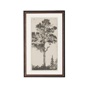 May include: A framed black and white print of a tall pine tree with a smaller pine tree in the background.