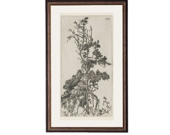 Trees Etching 4. Botanical Art Print. Vintage Tree Print. Tree Etching Art.