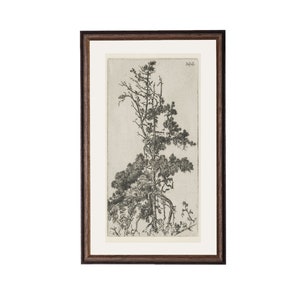 Trees Etching 4. Botanical Art Print. Vintage Tree Print. Tree Etching Art.