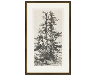 FRAMED Trees Etching 3 | Vintage Trees Wall Art | Tree Wall Art | Framed Vintage Tree Print | Forest Wall Art | Framed Wall Decor Giclee