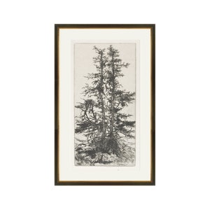 FRAMED Trees Etching 3 | Vintage Trees Wall Art | Tree Wall Art | Framed Vintage Tree Print | Forest Wall Art | Framed Wall Decor Giclee