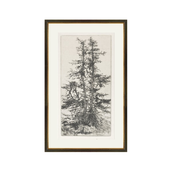 FRAMED Trees Etching 3 | Vintage Trees Wall Art | Tree Wall Art | Framed Vintage Tree Print | Forest Wall Art | Framed Wall Decor Giclee