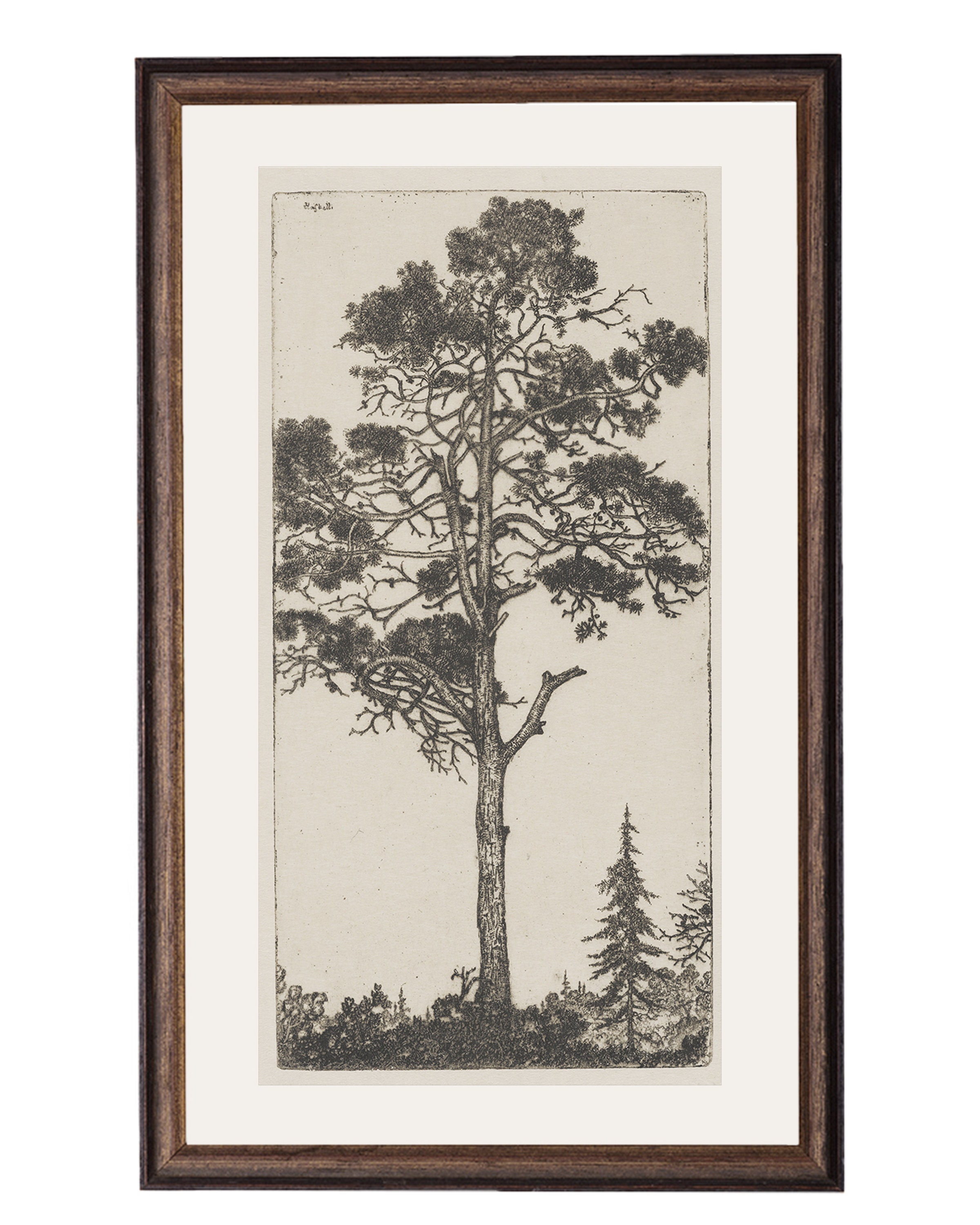 Trees Etching 1. Etching Tree Print. Trees Wall Art Printed. Etsy