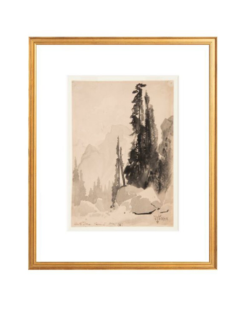 FRAMED. Antique Trees Drawing. Ink Trees Drawing. Mountain | Etsy