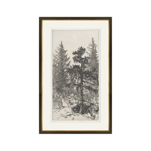 FRAMED. Trees Etching 1. Etching Tree Print. Framed Trees Wall Etsy