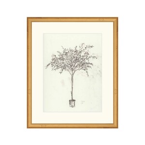 Puede incluir: Un dibujo en blanco y negro de un &aacute;rbol en maceta sobre un fondo marr&oacute;n claro. El dibujo est&aacute; enmarcado en un marco dorado.