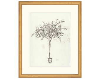 FRAMED. Olive Tree Sketch II. Framed Tree Wall Art. Vintage Inspired Art Framed. Framed Tree Sketch Print. Framed Plants Wall Art.