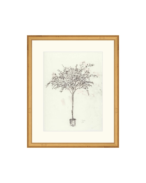 FRAMED. Olive Tree Sketch II. Framed Tree Wall Art. Vintage Inspired Art Framed. Framed Tree Sketch Print. Framed Plants Wall Art.