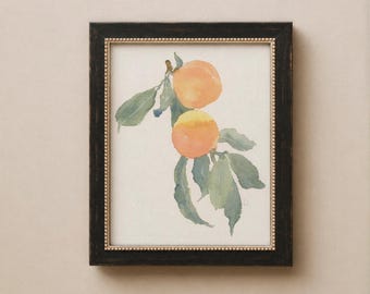Impression de branche d'oranger. Aquarelle botanique. Décoration murale aux agrumes. Œuvre d'art aux tons corail orange et vert pâle.