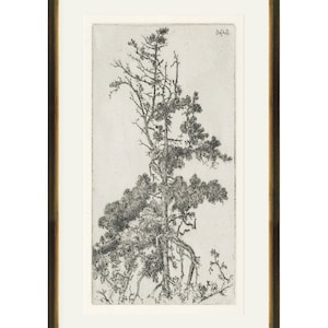 May include: A black and white etching of a tree with branches reaching up towards the sky. The tree is framed in a brown wood frame.