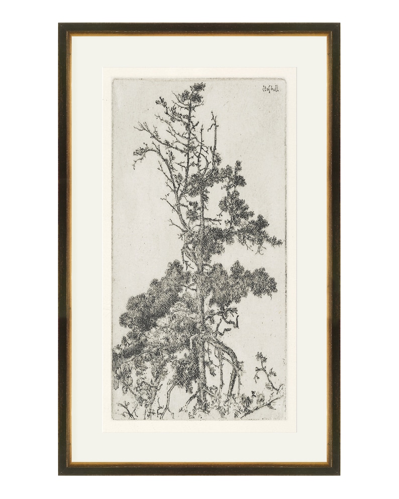 May include: A black and white etching of a tree with branches reaching up towards the sky. The tree is framed in a brown wood frame.