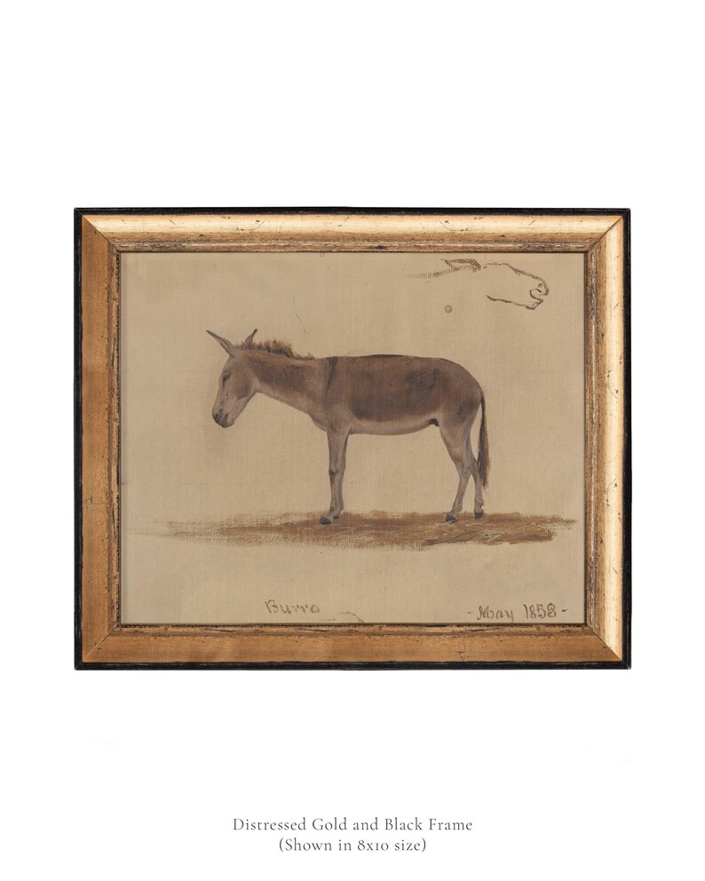 May include: A framed watercolor painting of a donkey, with the text "Burro - May 1858 -" in the bottom right corner.