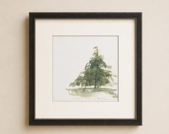Aquarelle d'un conifère aux tons verts doux. Études de pins III