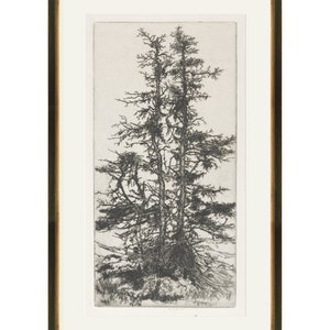 May include: Black and white etching of three tall trees with branches reaching towards the sky. The trees are set against a light background.