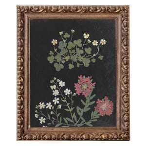 FRAMED. Flower Study IV. Flower Study Painting. Botanical Art Print. Flower Painting. Spring Decor. Vintage Spring Art Print. Springflower.