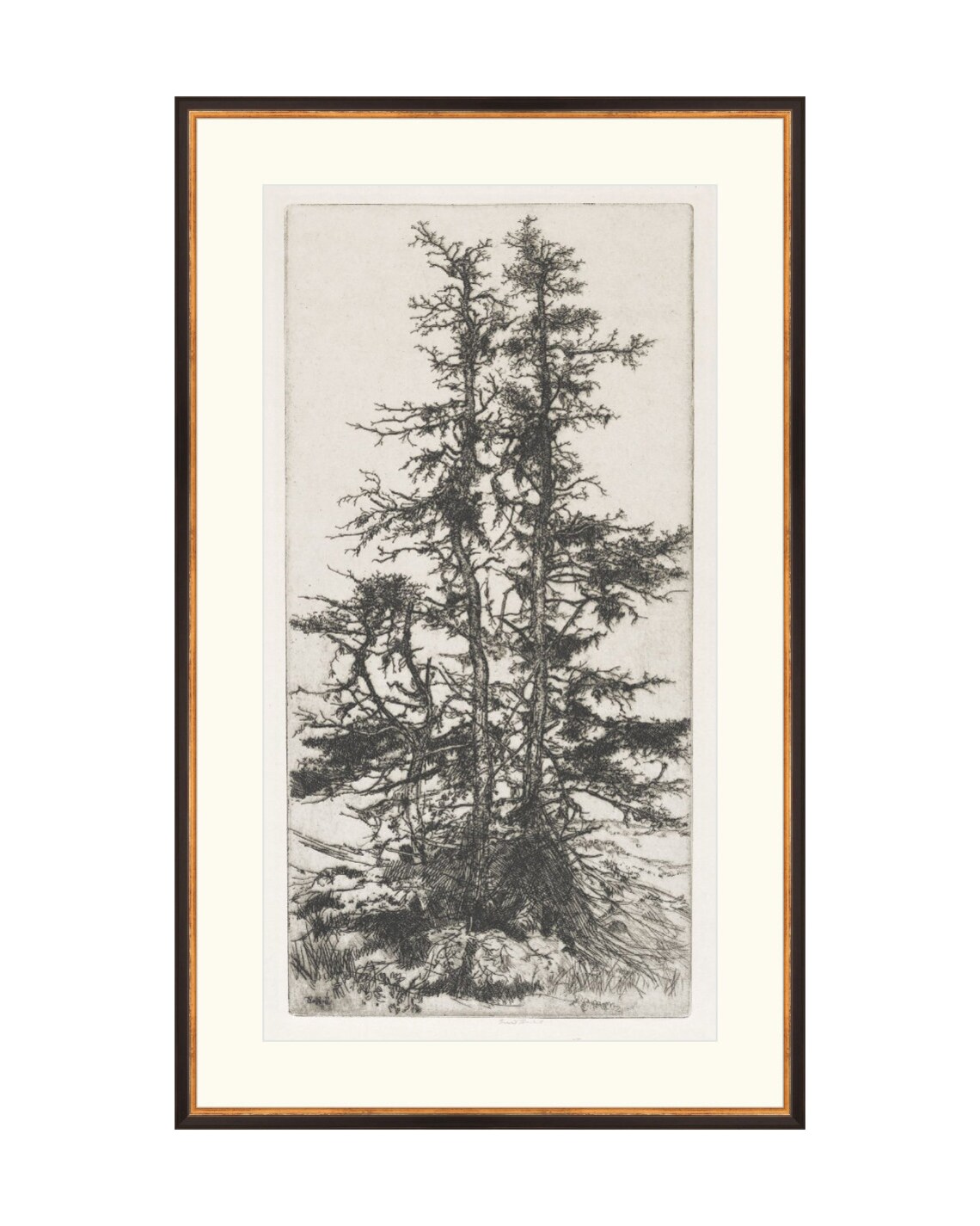 FRAMED. Trees Etching 3. Etching Tree Print Framed. Vintage Etsy