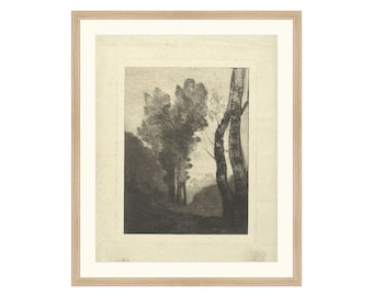 FRAMED. Trees. Wall Art Drawing. Botanical Drawing.