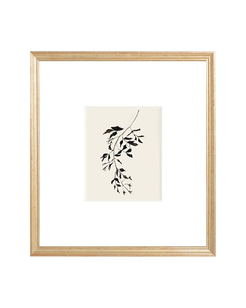 Botanical Ink Study II. Ink Print Art. Holiday Drawing Ink. Etsy