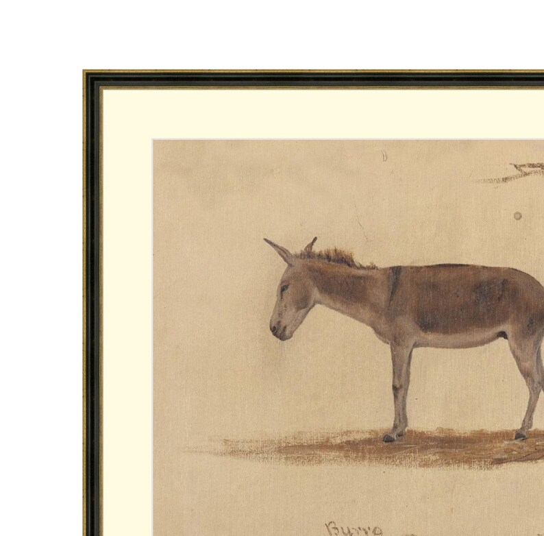 May include: A framed drawing of a donkey, in a light brown color, standing on a light brown background. The drawing is titled "Burro" in the bottom right corner.