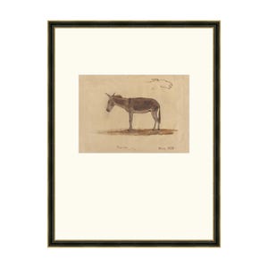 May include: A framed black and white drawing of a donkey. The drawing is on a light brown paper with the words "Drawn" and "Mary Beale" written below the donkey.