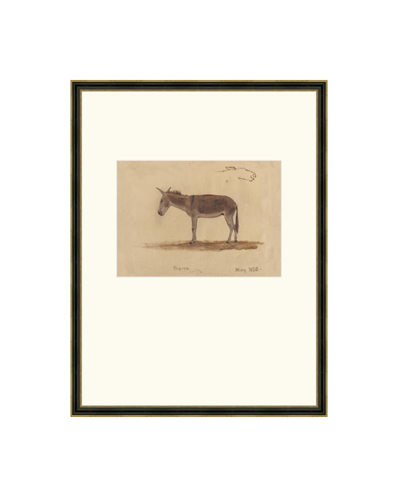 May include: A framed black and white drawing of a donkey. The drawing is on a light brown paper with the words "Drawn" and "Mary Beale" written below the donkey.