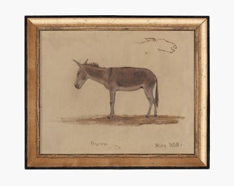 FRAMED. Donkey. Antique Animal Art. Vintage Animal Wall.  Donkey Study Art Print. Fine Art Print. Cottage Decor. Animal Drawing Decor.