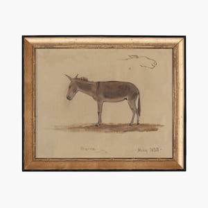 Donkey. Antique Animal Art. Vintage Animal Wall.  Donkey Study Art Print. Fine Art Print. Cottage Decor. Animal Drawing Decor. Donkey Print.