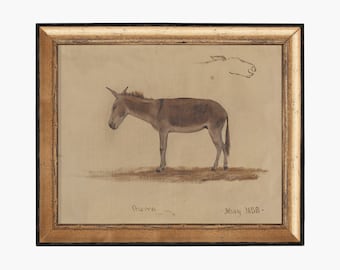 Donkey. Antique Animal Art. Vintage Animal Wall.  Donkey Study Art Print. Fine Art Print. Cottage Decor. Animal Drawing Decor. Donkey Print.