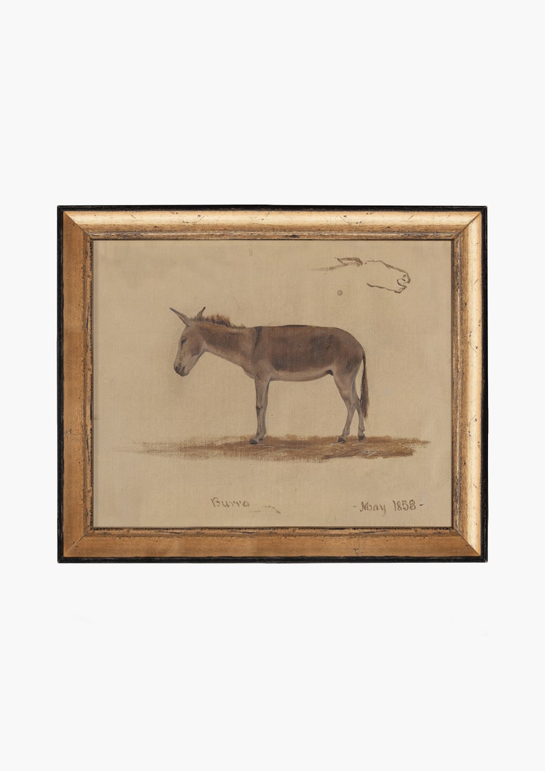 Puede incluir: Una pintura de acuarela enmarcada de un burro marr&oacute;n, con el texto "Burra - Mayo 1858 -" escrito debajo del burro.