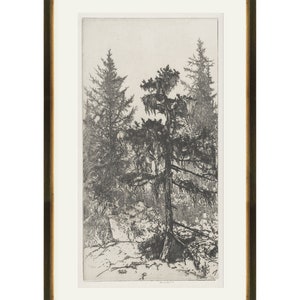 May include: Black and white etching of a tall pine tree in a forest setting. The tree is in the center of the image and is surrounded by other trees. The image is framed in a dark wood frame.