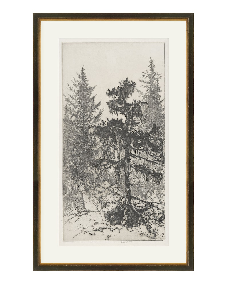 May include: Black and white etching of a tall pine tree in a forest setting. The tree is in the center of the image and is surrounded by other trees. The image is framed in a dark wood frame.