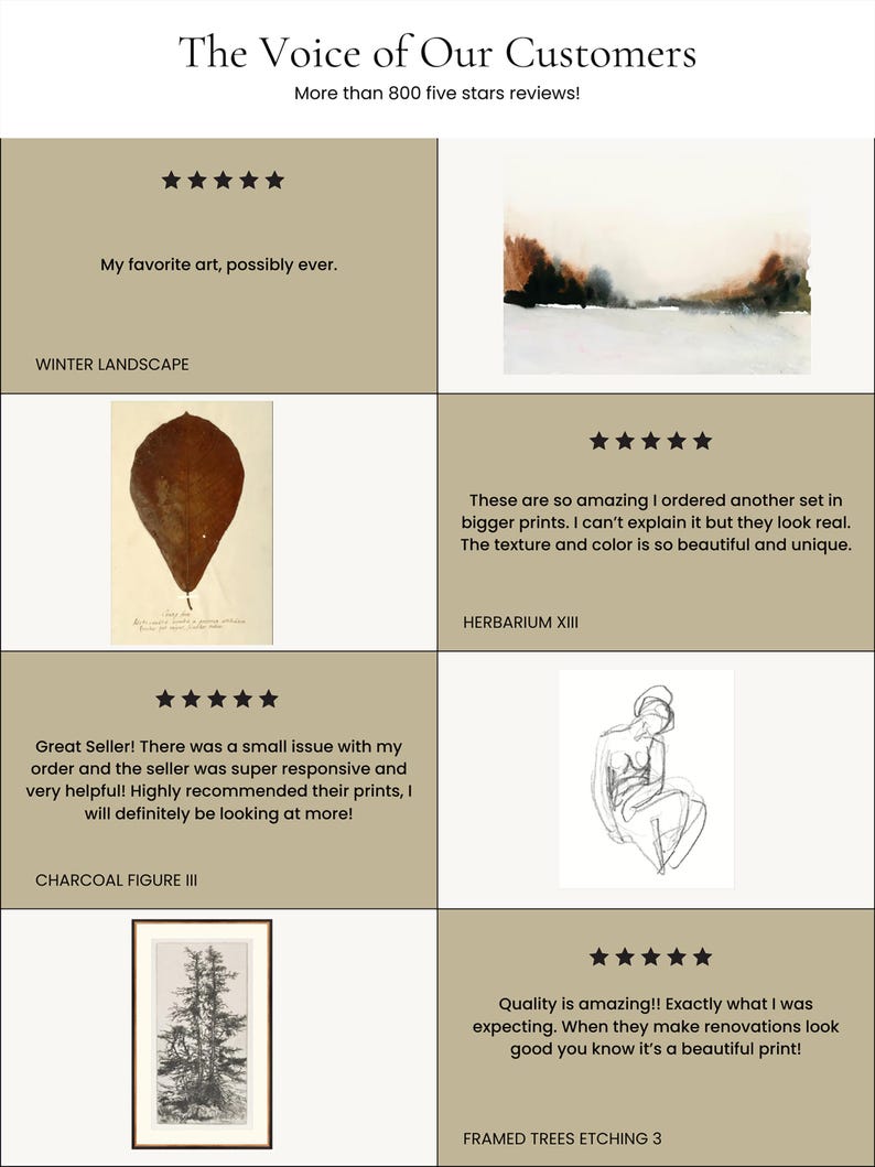May include: Four customer reviews for art prints. Each review includes a five-star rating, a short description, and the name of the print. The prints include a winter landscape, a charcoal figure, a botanical illustration, and a framed tree etching.