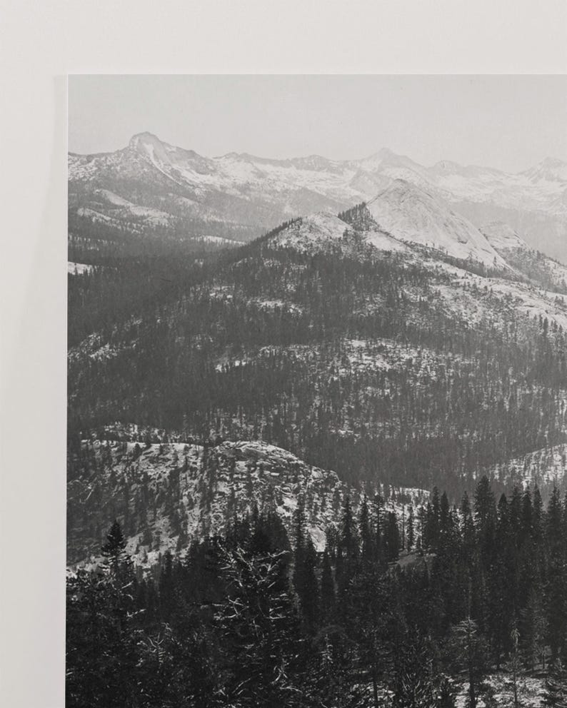 May include: A black and white photograph of a snow-covered mountain range with a dense forest in the foreground.