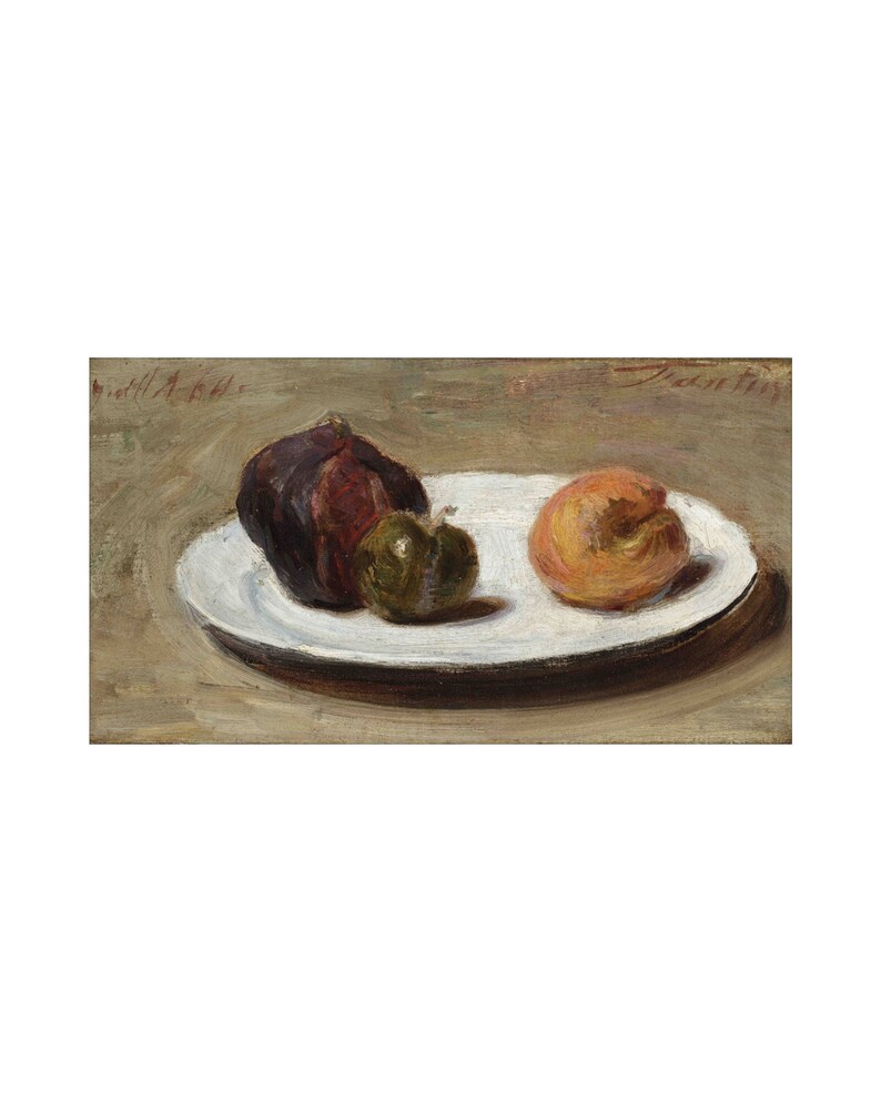 Still Life Fruits on a Plate