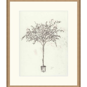 Puede incluir: Un dibujo a l&aacute;piz en blanco y negro de un &aacute;rbol en maceta, realizado en un estilo simple y minimalista. El dibujo est&aacute; enmarcado en un marco de madera marr&oacute;n claro.
